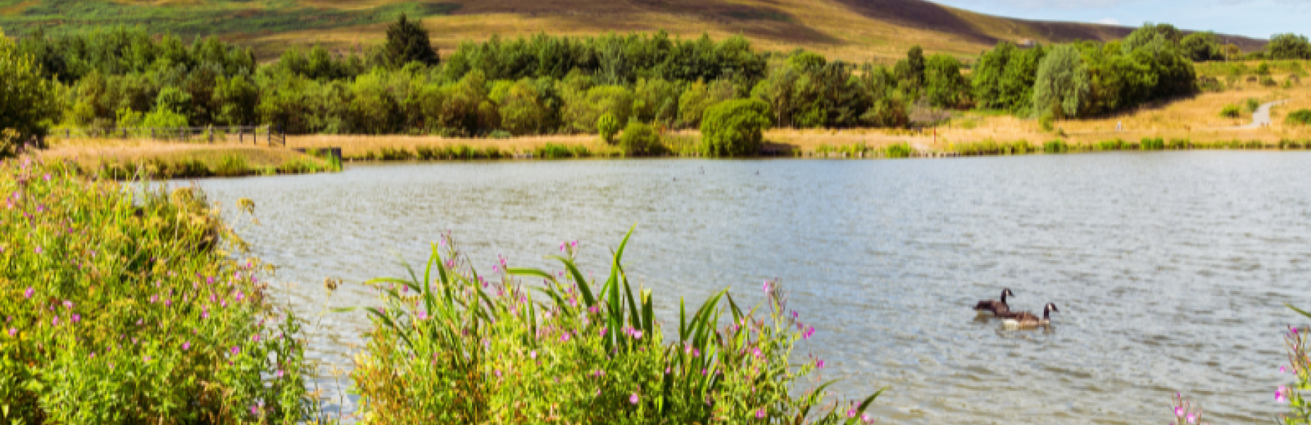 Garn Lakes Local Nature Reserve Blaenavon