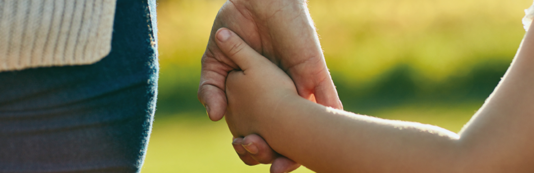 Child holding a parents hand in a green field